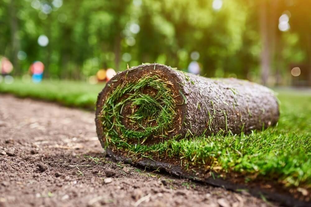 Natural turf roll ready to be laid on prepared ground