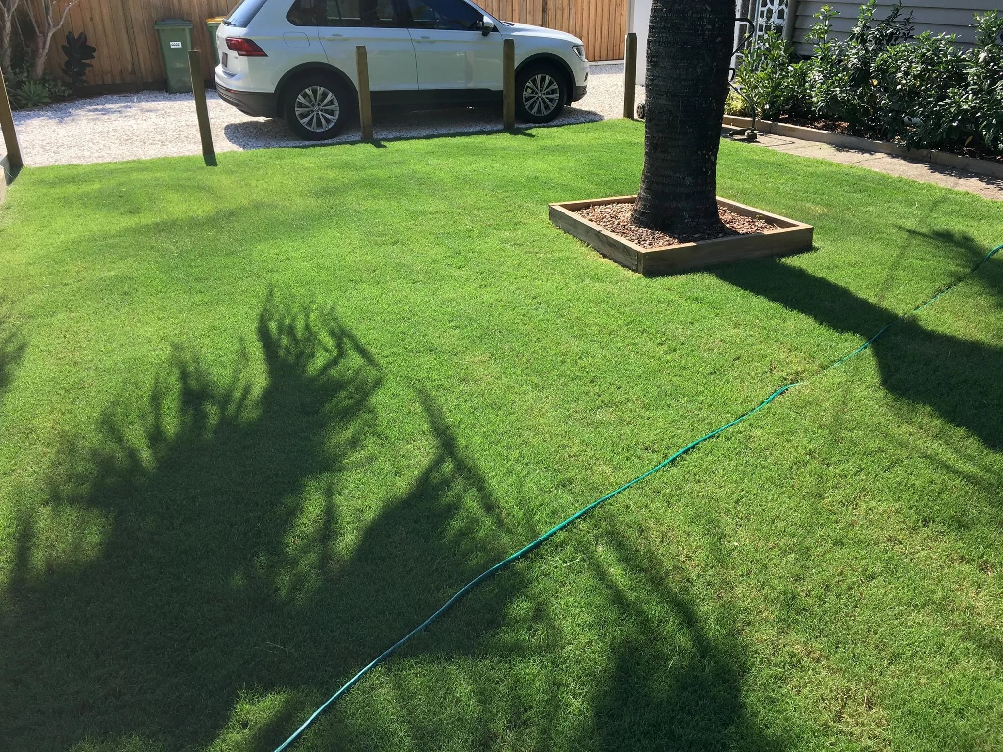 Couch lawn in a residential garden