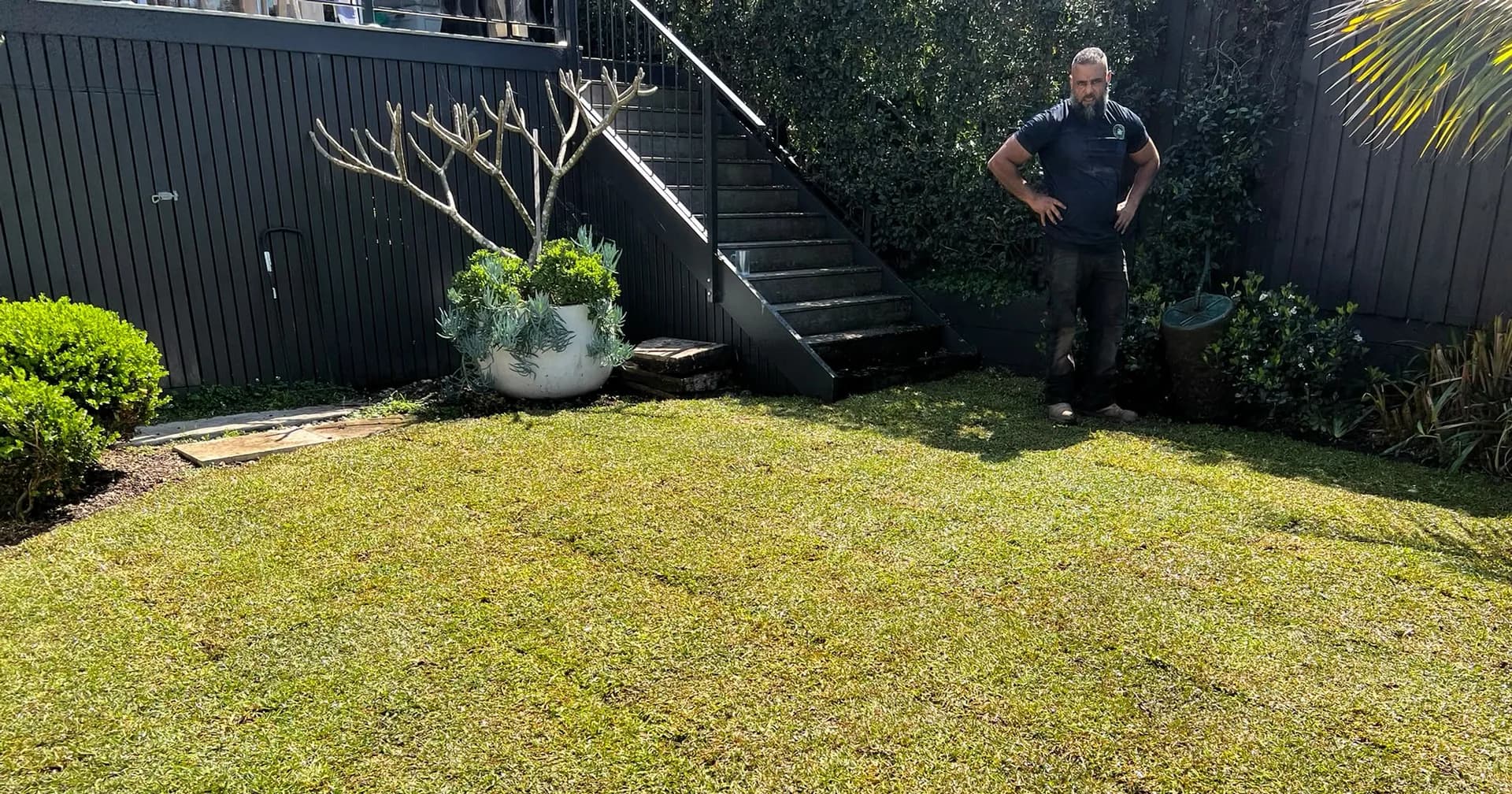 Completed Sir Walter Buffalo lawn beside the garden and steps in Balgowlah