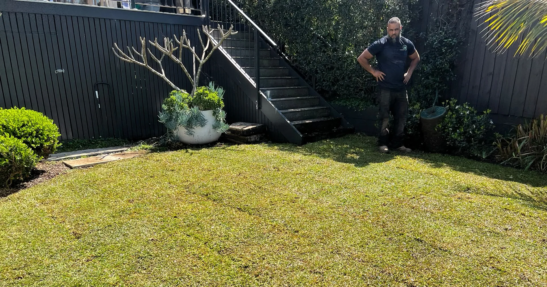Completed Sir Walter Buffalo lawn beside the garden and steps in Balgowlah