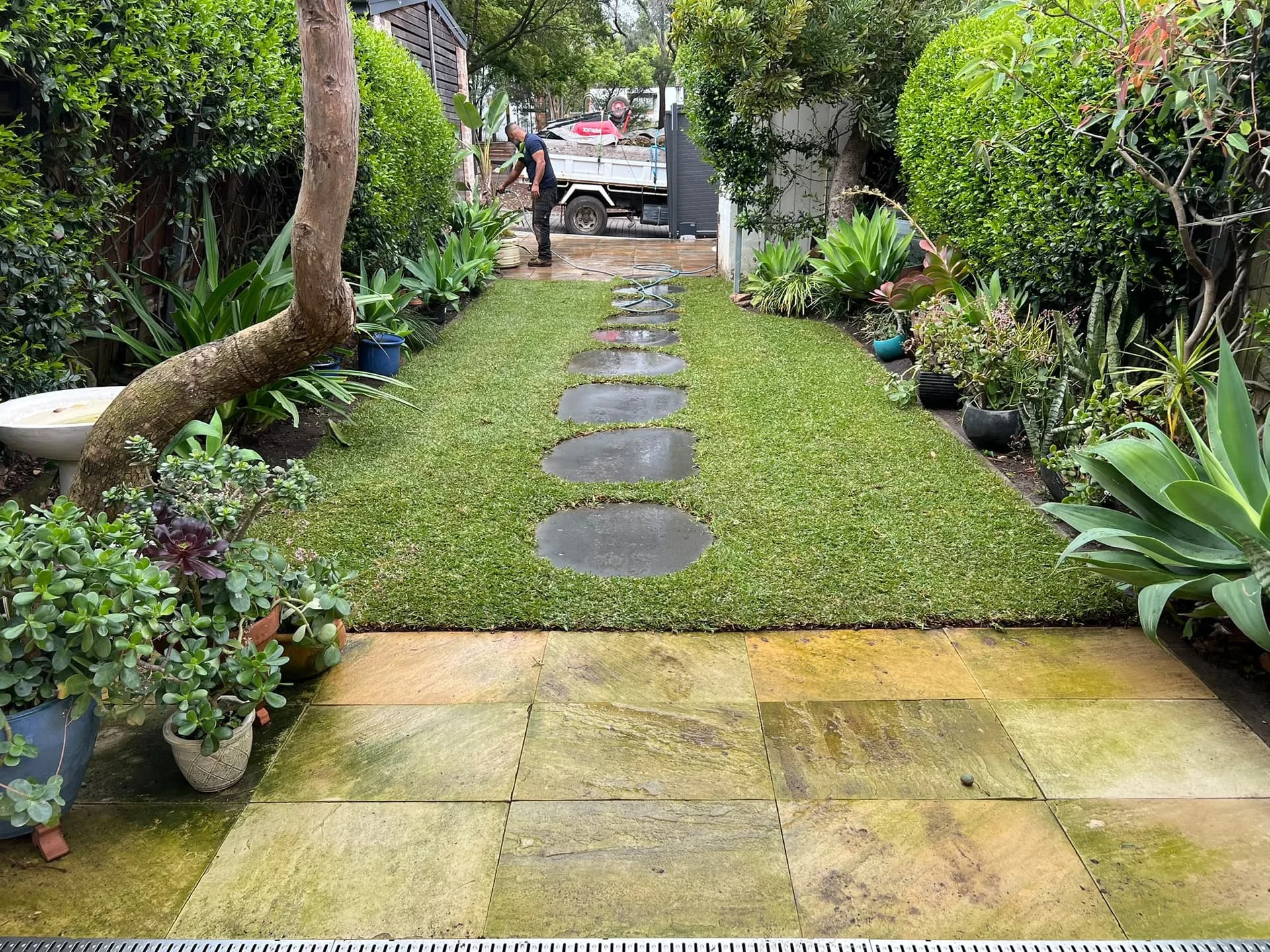Completed Glebe garden lawn with Matilda Buffalo around the stepping-stone path