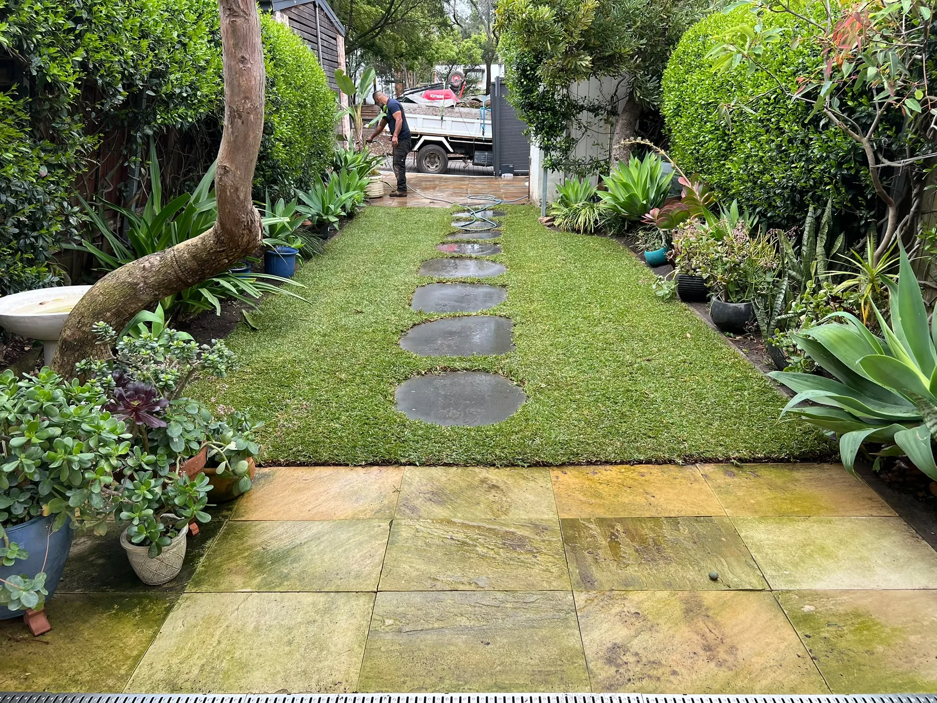 Completed Glebe garden lawn with Matilda Buffalo around the stepping-stone path