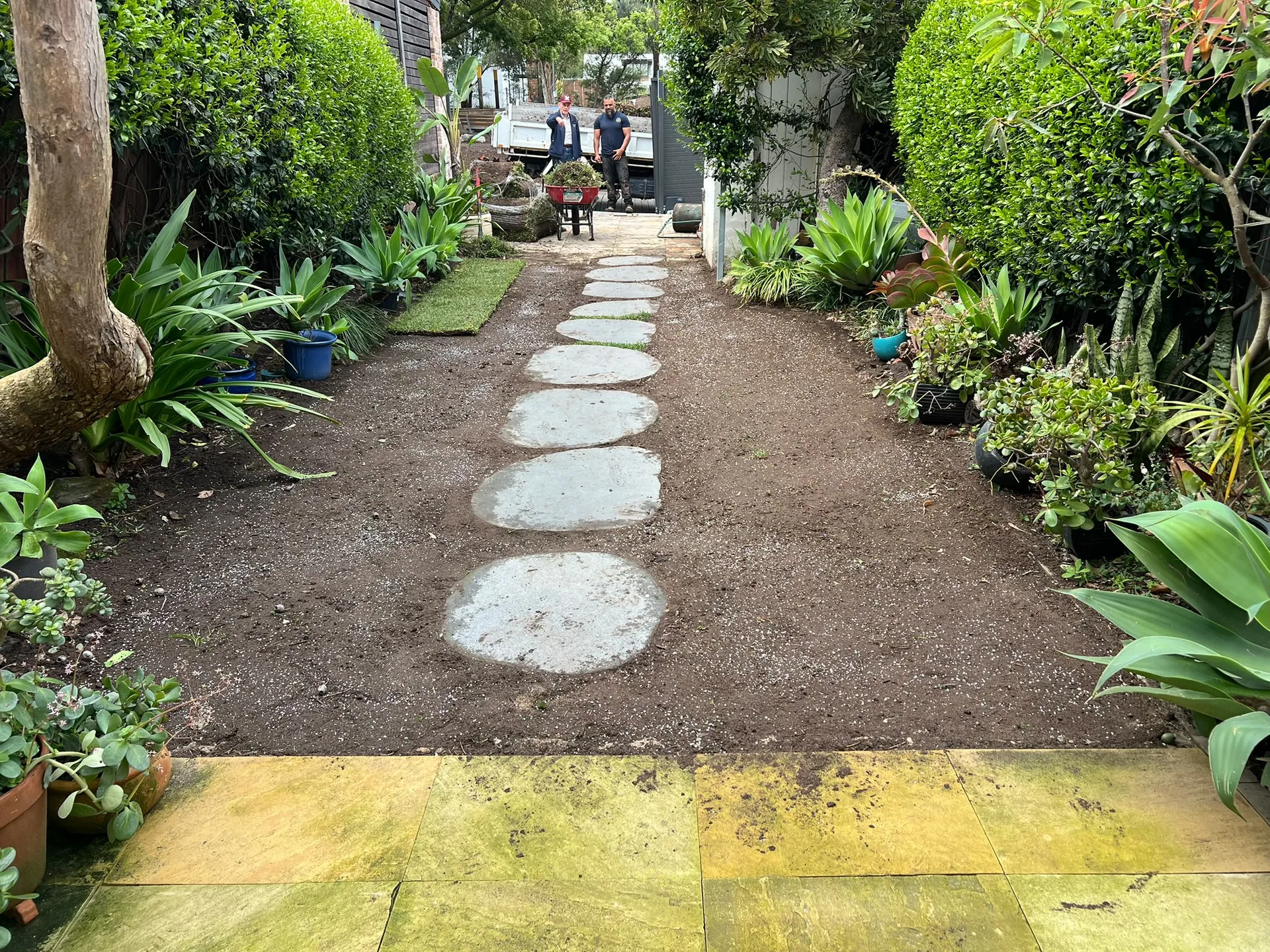 Partly laid Matilda Buffalo beside stepping stones and planted borders in Glebe