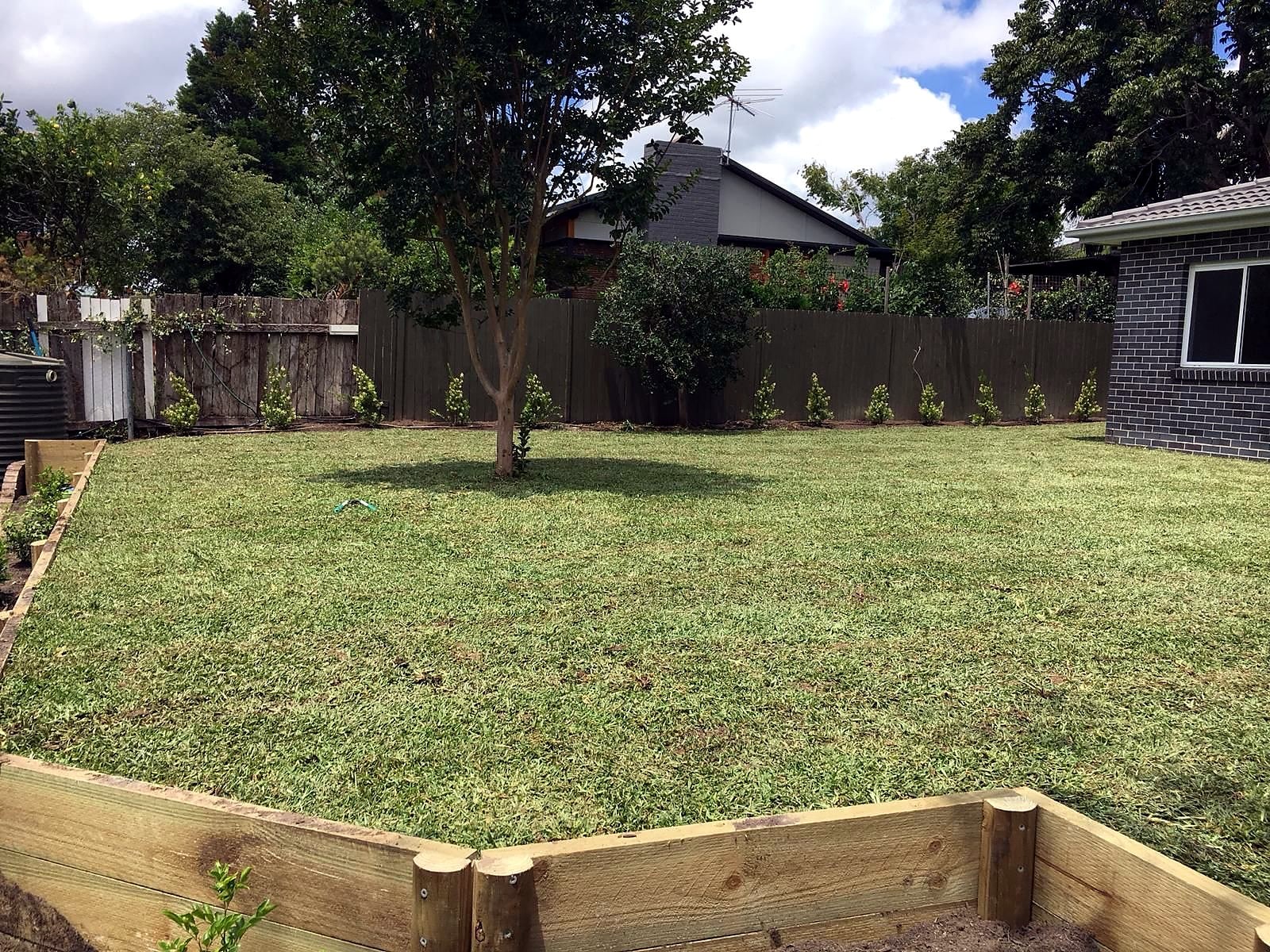 Finished Kellyville natural lawn viewed from the timber corner edge