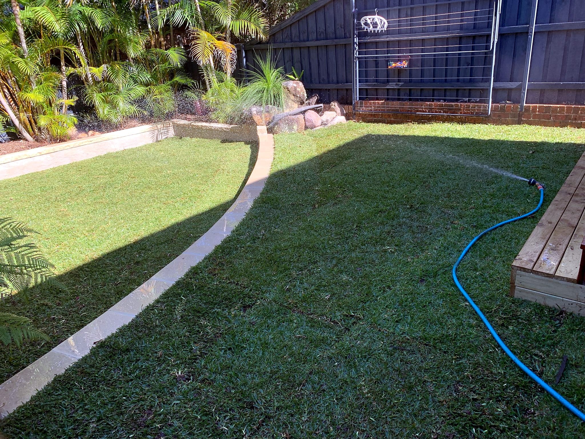 Finished natural lawn between the deck and planted garden in Mona Vale