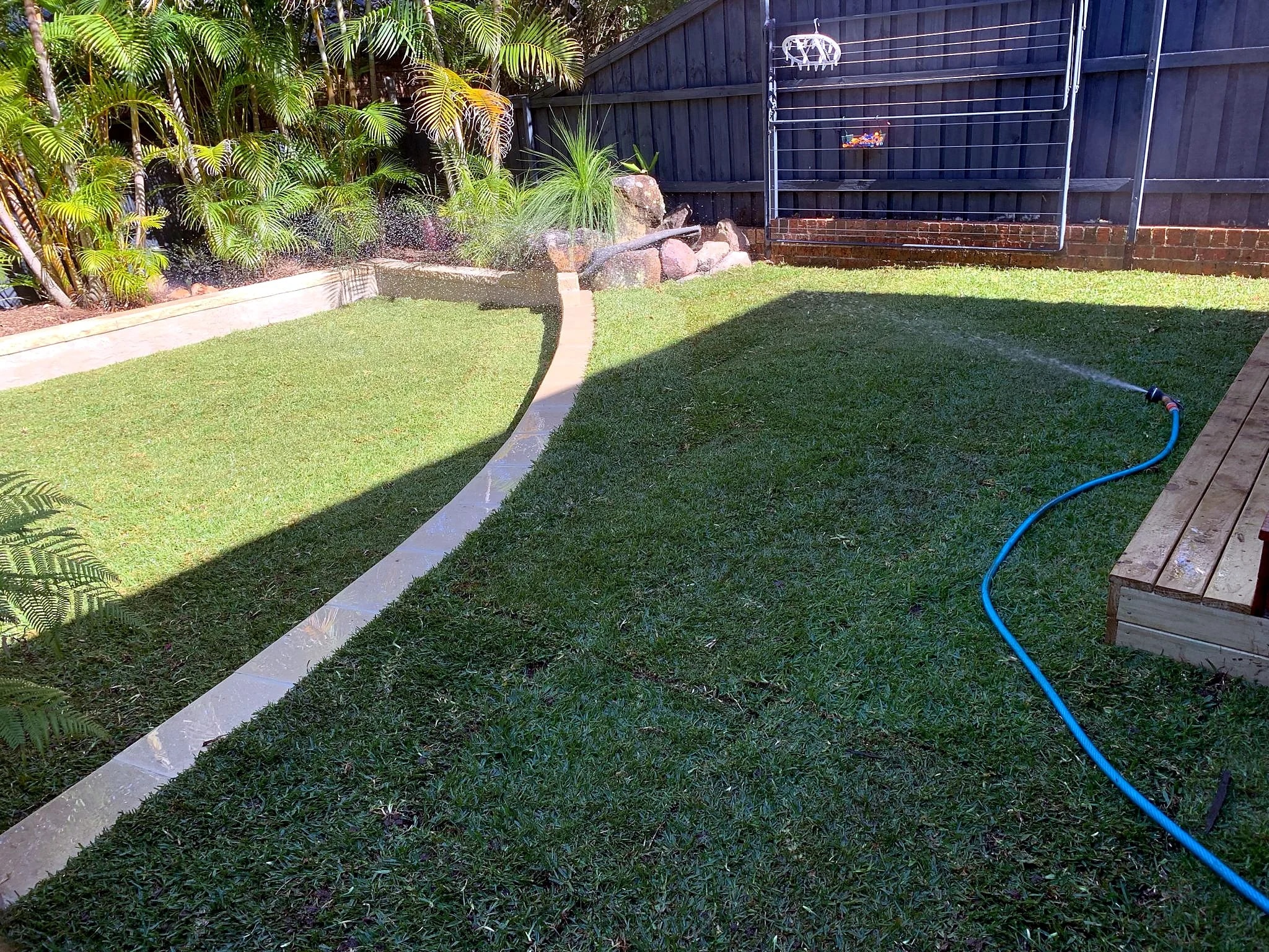 Finished natural lawn between the deck and planted garden in Mona Vale