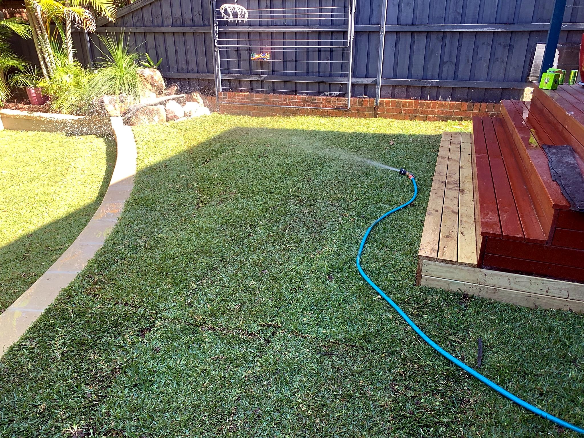 Completed natural turf around a timber deck and curved garden edge in Mona Vale