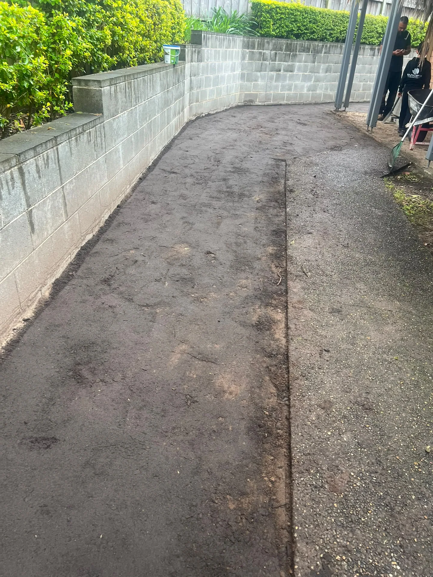 Prepared side-lawn soil between the block wall and path in Oatlands