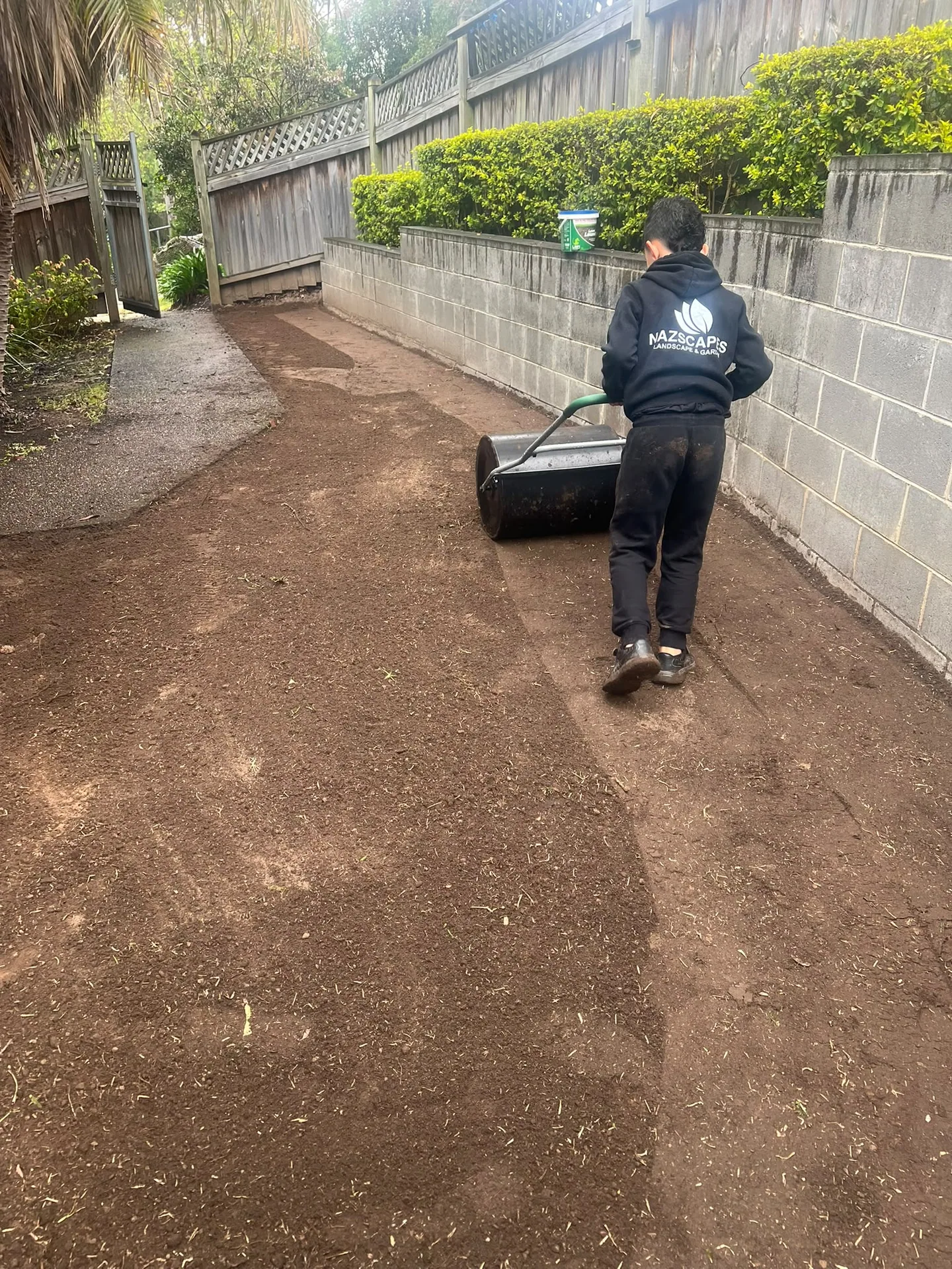 Rolling the soil along the Oatlands side lawn before laying Stampede Buffalo