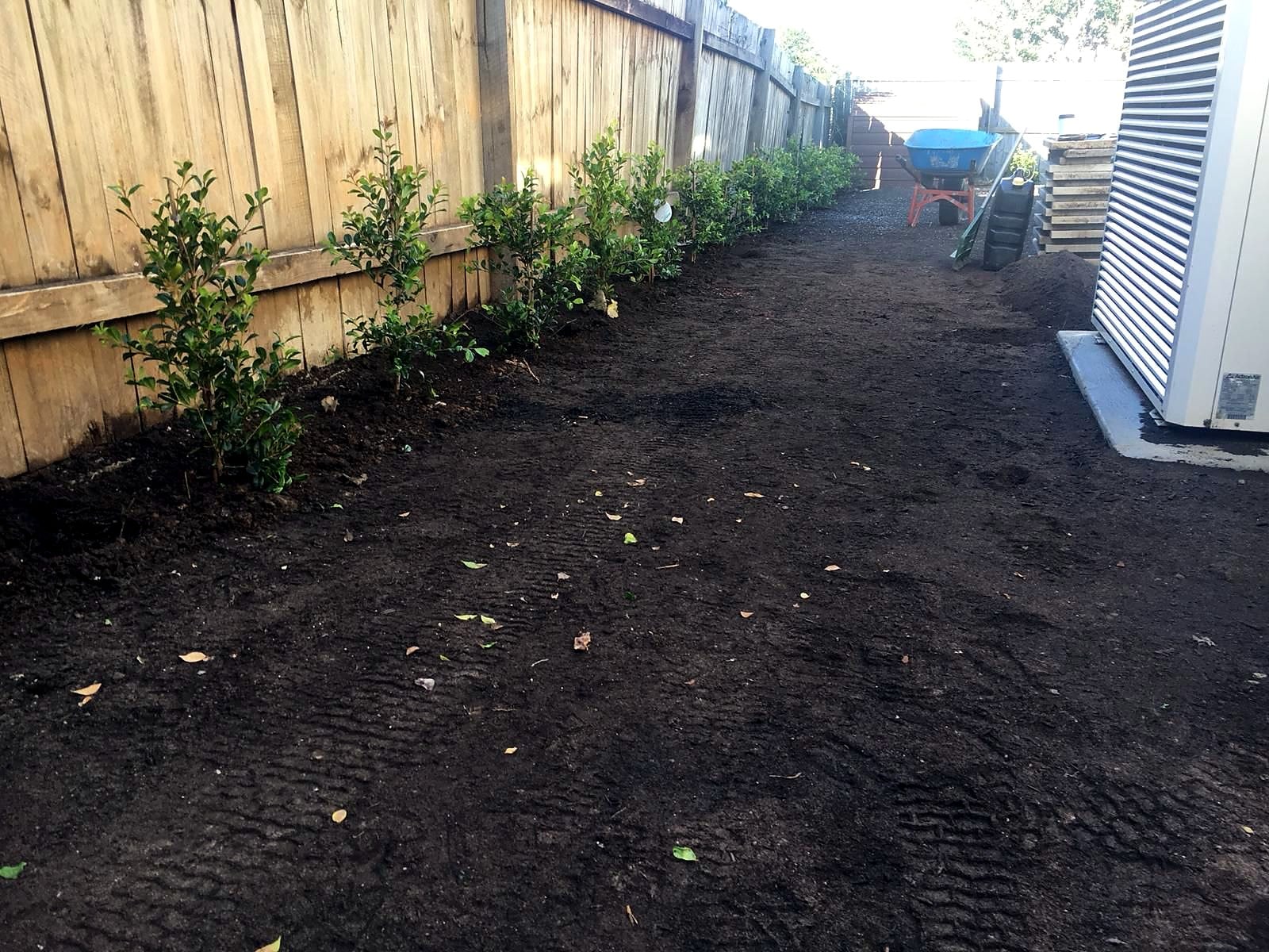 Prepared soil beside the planted boundary in West Ryde before turf laying