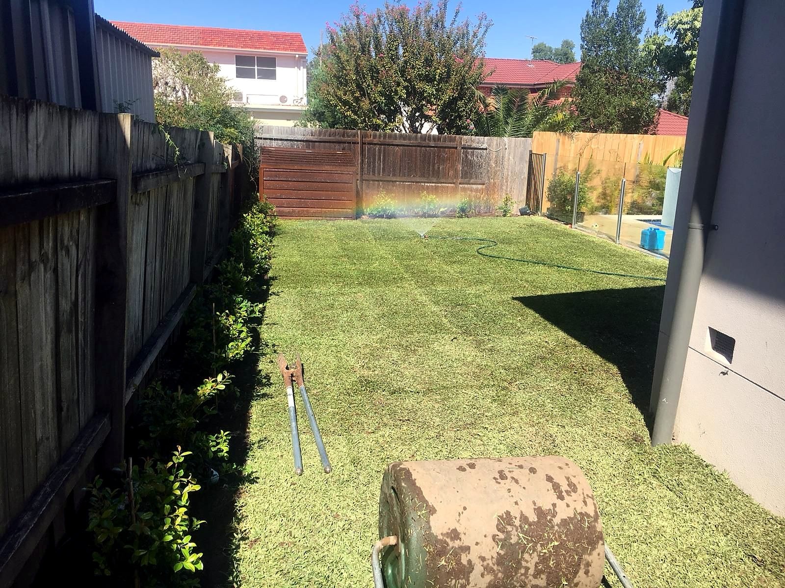 Finished turf edge beside the garden bed and timber fence in West Ryde