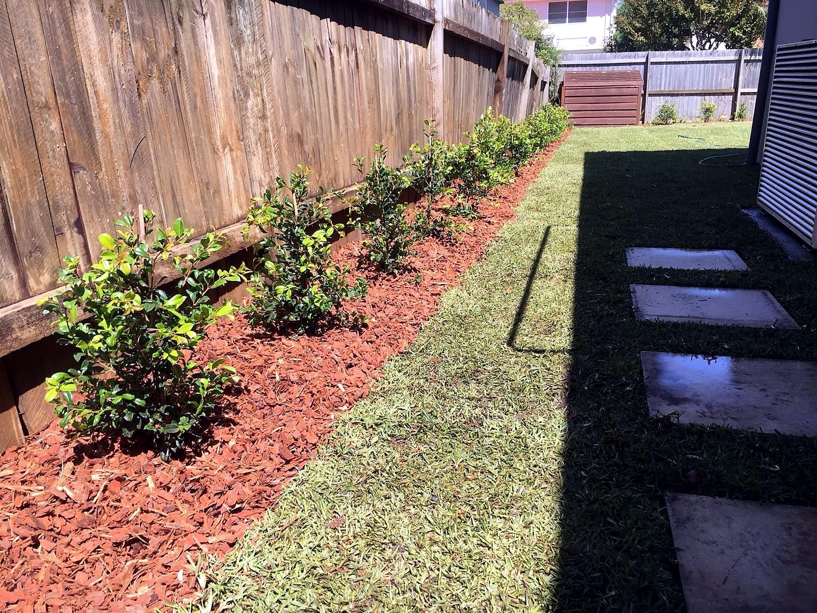 Completed natural turf beside stepping stones and a planted garden edge in West Ryde